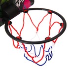 Баскетбольный набор с мячом «Мстители», диаметр мяча 8 см, диаметр кольца 13,5 см - фото 3585439