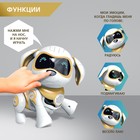 Робот собака «Чаппи» IQ BOT, интерактивный: сенсорный, свет, звук, музыкальный, танцующий, на аккумуляторе, на русском языке, золотой - фото 6658070