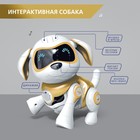 Робот собака «Чаппи» IQ BOT, интерактивный: сенсорный, свет, звук, музыкальный, танцующий, на аккумуляторе, на русском языке, золотой - фото 3201793