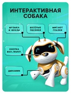 Робот собака «Чаппи» IQ BOT, интерактивный: сенсорный, свет, звук, музыкальный, танцующий, на аккумуляторе, на русском языке, золотой - Фото 6