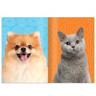 Книга с наклейками «Укрась питомца», 12 стр., 55 наклеек - Фото 2