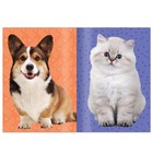 Книга с наклейками «Укрась питомца», 12 стр., 55 наклеек - Фото 3