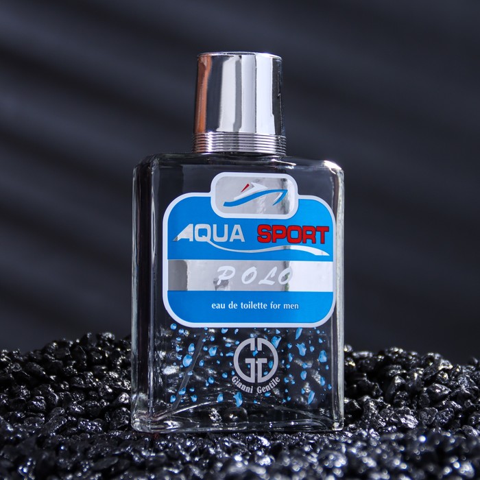 Туалетная вода мужская Positive parfum, AQUA SPORT POLO, 100 мл - фото 1910430573