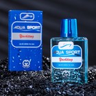 Туалетная вода мужская Positive parfum, AQUA SPORT, YACHTING, 100 мл - фото 9877720