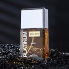 Туалетная вода PLATINUM BILLION мужская, 95 мл 9188593 - фото 14066626