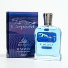 Туалетная вода Alain Aregon Gepard Enzo мужская, 95 мл - фото 24059218