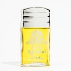 Туалетная вода мужская Positive parfum, CASA MONSTRA, MILON, 90 мл - фото 24052330