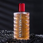 Туалетная вода мужская Positive parfum, 1 SEXYLION, 100 мл - Фото 2