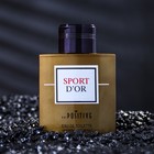 Туалетная вода мужская SPORT D'OR, 90 мл - фото 24059245
