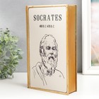 Шкатулка-книга металл, стекло "Сократ" 26х16х5 см - Фото 2