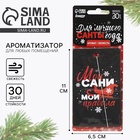 Ароматизатор в машину новогодний «Мои сани, мои правила», аромат свежесть, 7,5 х 17 см - Фото 1