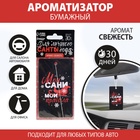Ароматизатор в машину новогодний «Мои сани, мои правила», аромат свежесть, 7,5 х 17 см - Фото 2