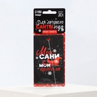 Ароматизатор в машину новогодний «Мои сани, мои правила», аромат свежесть, 7.5×17 см - Фото 3