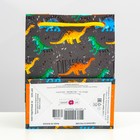 Пакет подарочный "Динозаврики", 11,5 х 14,5 х 6,5 см 9160757