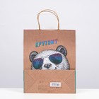 Пакет подарочный "Крутому" 26 х 32 х 12 см - фото 34948923