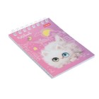 Блокнот А7, 40 листов на гребне «Кошарики», обложка мелованный картон, блок 65 г/м², МИКС - Фото 2