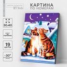 Картина по номерам на холсте с подрамником «Коты» 30 × 40 см - фото 285204166