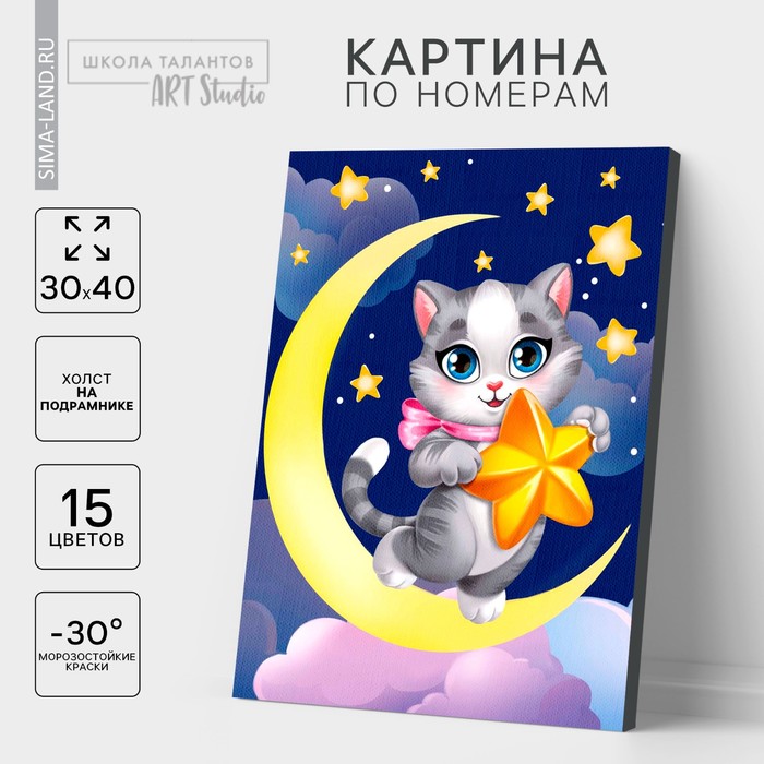 Картина по номерам на холсте с подрамником «Котик со звёздочкой», 30 х 40 см - Фото 1