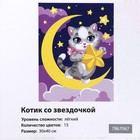 Картина по номерам на холсте с подрамником «Котик со звёздочкой», 30 х 40 см - Фото 4
