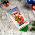 Подарочная новогодняя коробка «Заяц - Кот», 12×7×23 см - Фото 3