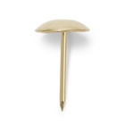 Гвозди ТУНДРА, декоративные, обивочные, 10×18.5 мм, золото, фасовка 50 шт. 9118046