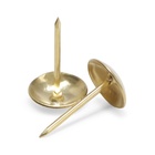 Гвозди ТУНДРА, декоративные, обивочные, 10×18.5 мм, золото, фасовка 50 шт. 9118046