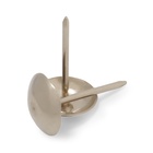 Гвозди ТУНДРА, декоративные, обивочные, 10х18,5 мм, хром, фасовка 50 шт - фото 26636315