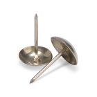 Гвозди ТУНДРА, декоративные, обивочные, 10х18,5 мм, хром, фасовка 50 шт - фото 26636311