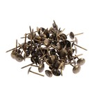 Гвозди ТУНДРА, декоративные, обивочные, 8×15 мм, бронза, фасовка 50 шт. - Фото 5