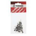 Гвозди ТУНДРА, декоративные, обивочные, 8×15 мм, бронза, фасовка 50 шт. - Фото 6