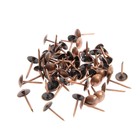 Гвозди ТУНДРА, декоративные, обивочные, 8×15 мм, медь, фасовка 50 шт. - Фото 6