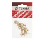 Гвозди ТУНДРА, декоративные, обивочные, 8×15 мм, золото, фасовка 50 шт. - Фото 6