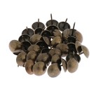 Гвозди ТУНДРА, декоративные, обивочные, 19×22 мм, бронза, фасовка 50 шт. - Фото 5