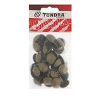 Гвозди ТУНДРА, декоративные, обивочные, 19×22 мм, бронза, фасовка 50 шт. - Фото 6