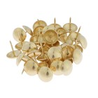 Гвозди ТУНДРА, декоративные, обивочные, 19×22 мм, золото, фасовка 50 шт. - Фото 5