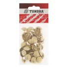 Гвозди ТУНДРА, декоративные, обивочные, 19×22 мм, золото, фасовка 50 шт. - Фото 6