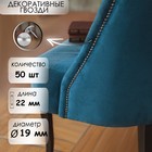 Гвозди ТУНДРА, декоративные, обивочные, 19×22 мм, хром, фасовка 50 шт. - Фото 1