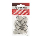 Гвозди ТУНДРА, декоративные, обивочные, 19×22 мм, хром, фасовка 50 шт. - Фото 6