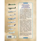 Гиганты воздуха. Первая в России иллюстрированная энциклопедия самолетов-гигантов для юных читателей - Фото 2