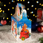 Подарочная новогодняя коробка «Каникулы в лесу», 16.5?23?12 см (комплект 5 шт) - фото 50289214