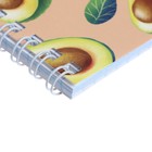 Блокнот А6, 40 листов в клетку на гребне "Авокадо", обложка мелованный картон, МИКС - Фото 4