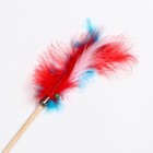 Дразнилка «Перья с колокольчиком» на деревянной палочке с бубенчиком, микс цветов - Фото 2