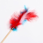 Дразнилка «Перья с колокольчиком» на деревянной палочке, с бубенчиком, цвет МИКС - Фото 4