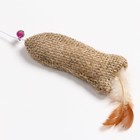 Дразнилка - удочка из эко-материалов "Рыбка с кошачьей мятой и перьями" на деревянной палочкой 91570 - Фото 3