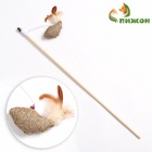 Дразнилка - удочка из эко-материалов «Птичка с кошачьей мятой и перьями», деревянная палочка - Фото 2