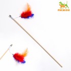 Дразнилка - удочка "Радужные перья" на деревянной палочке, микс цветов - фото 2113608
