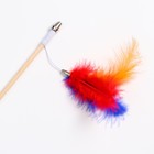Дразнилка - удочка "Радужные перья" на деревянной палочке, микс цветов - фото 6659928