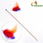 Дразнилка - удочка «Радужные перья» на деревянной палочке, микс цветов - Фото 2