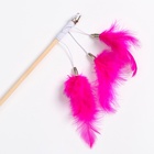 Дразнилка - удочка «Салют из перьев» на деревянной палочке, микс цветов - Фото 3