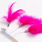 Дразнилка - удочка «Салют из перьев», на деревянной палочке, цвет МИКС - Фото 5